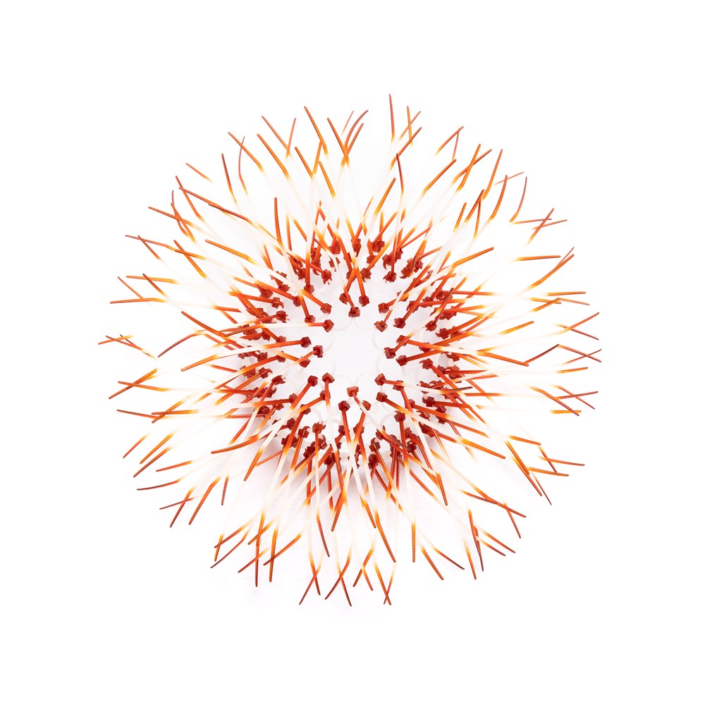 Kina - Burnt Orange