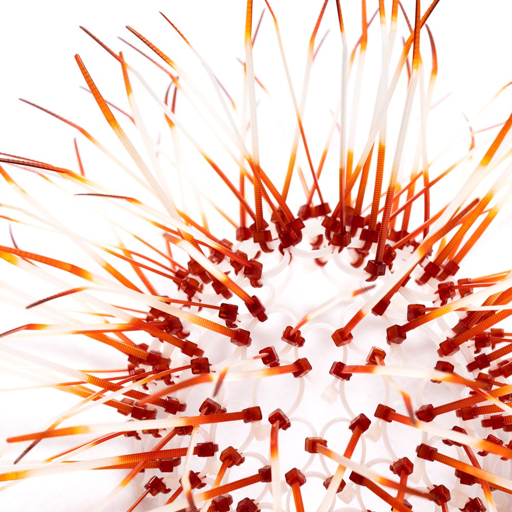 Kina - Burnt Orange