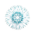 Kina - Teal