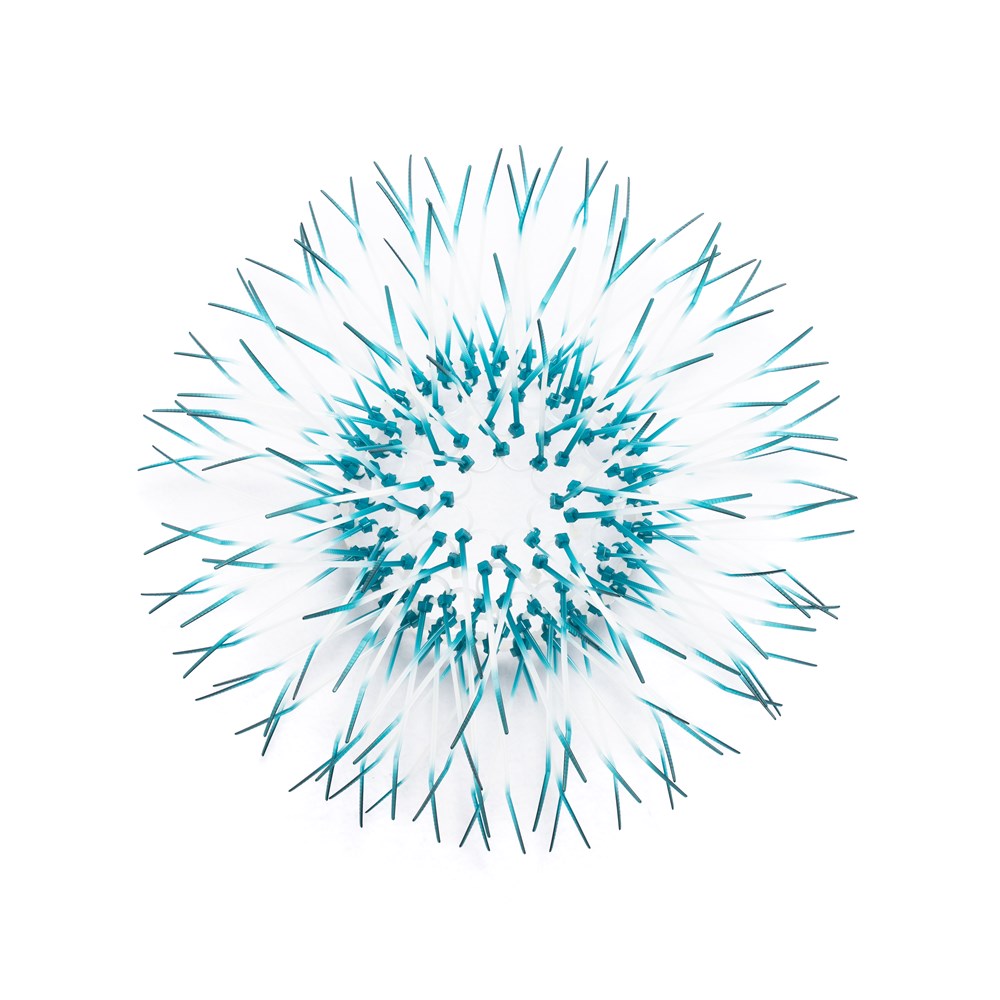 Kina - Teal