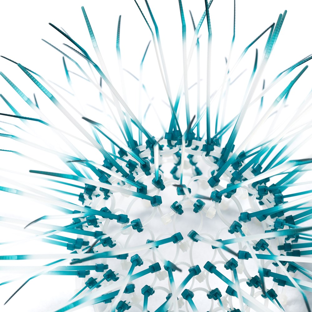 Kina - Teal