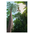 Into the Sun - Canvas Print