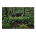 Kiwi In Coromandel - Canvas Print