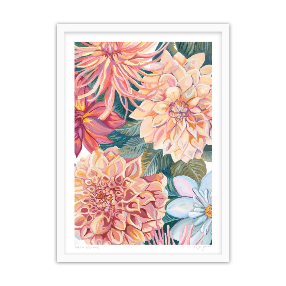 Dahlia Blossoms Print
