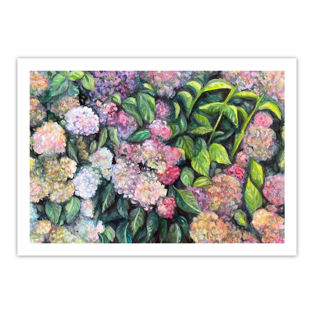 Mothers Hydrangeas Print