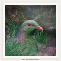 Abracadabra (Kereru)