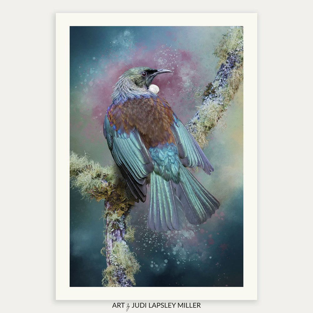 Resolute Beauty (Tui)