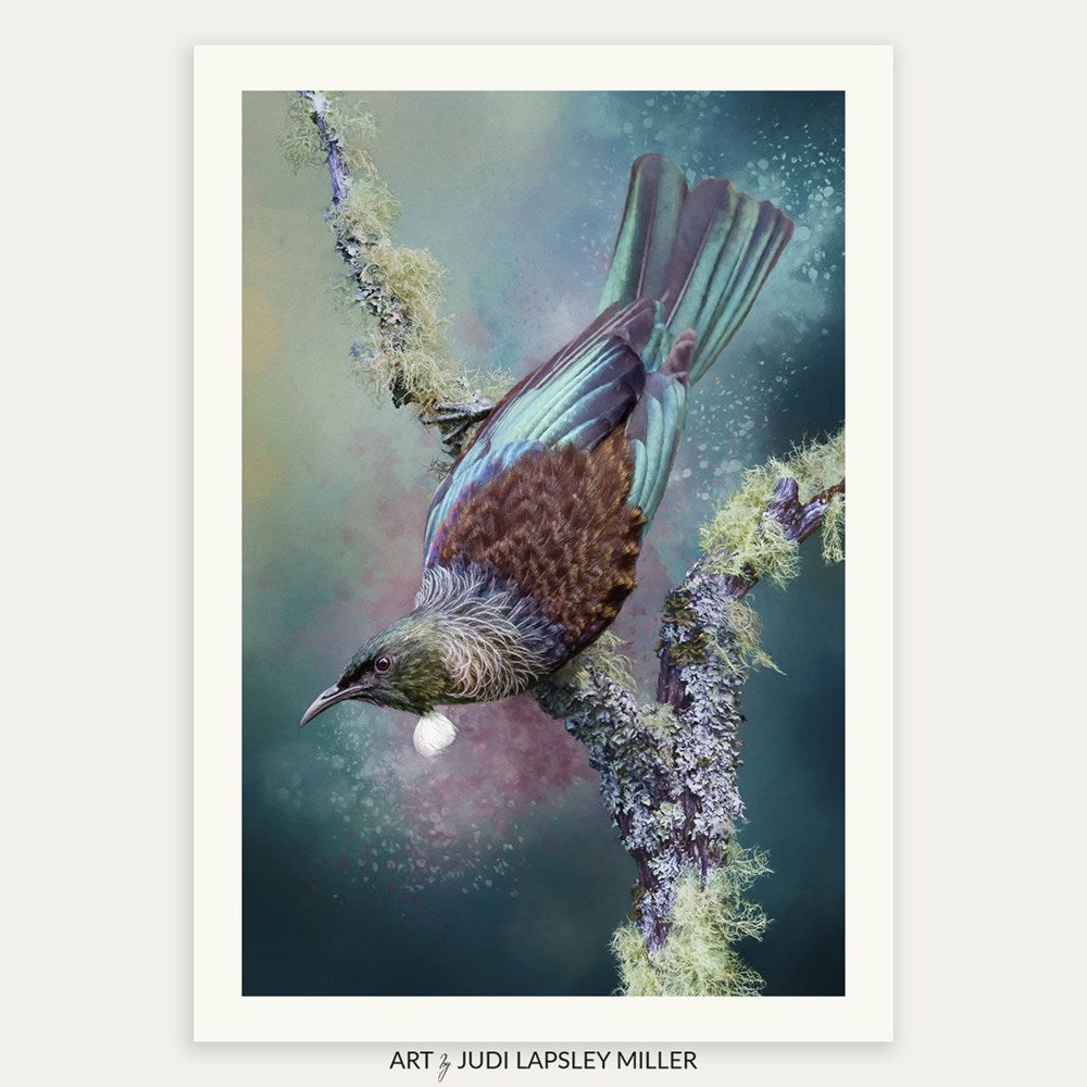 Graceful Splendour (Tui)