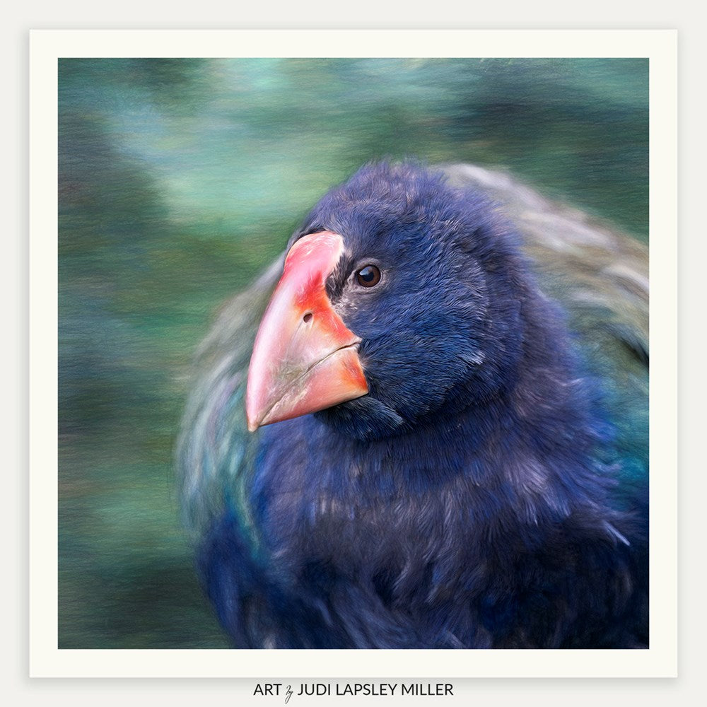 The Little Rascal (Takahe)