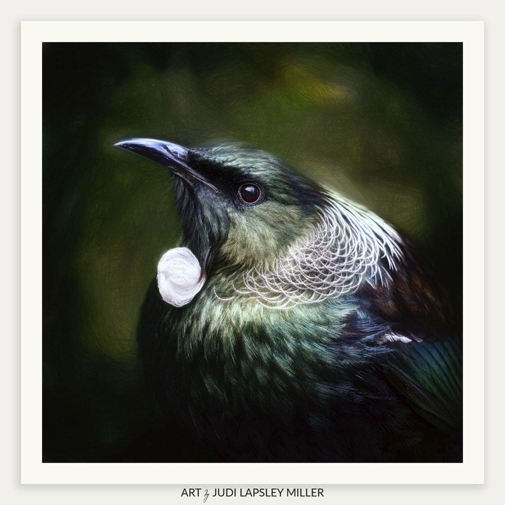 The Judge (Tui)