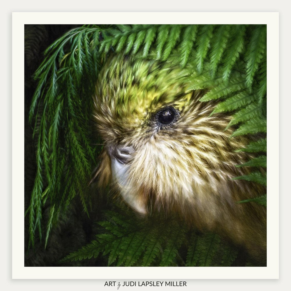 Ferny Friends Galaxy (Kakapo)