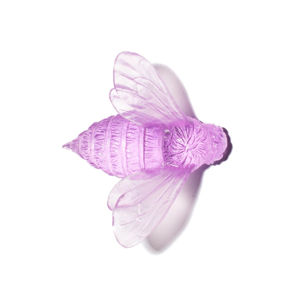 Bee - Wings In