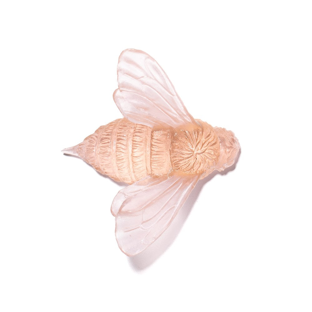 Bee - Wings In