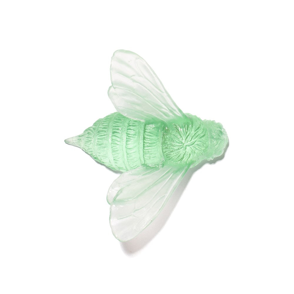 Bee - Wings In