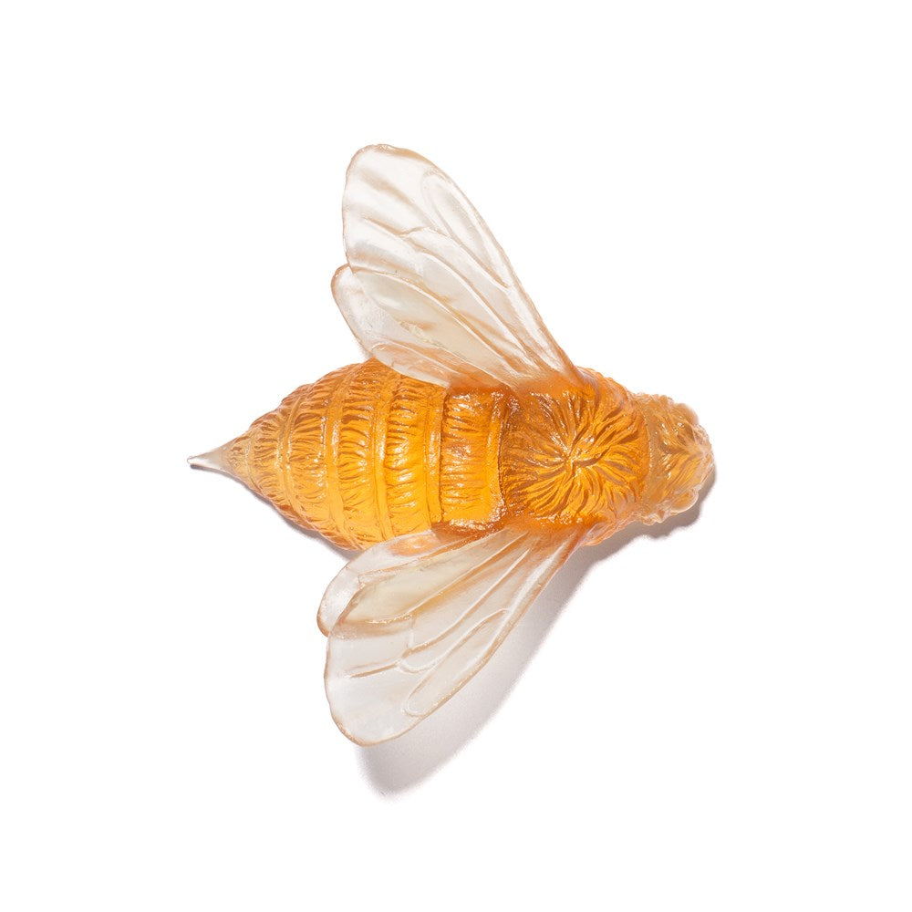 Bee - Wings In