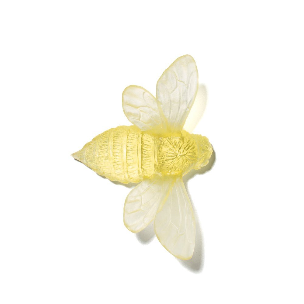 Bee - Wings Out