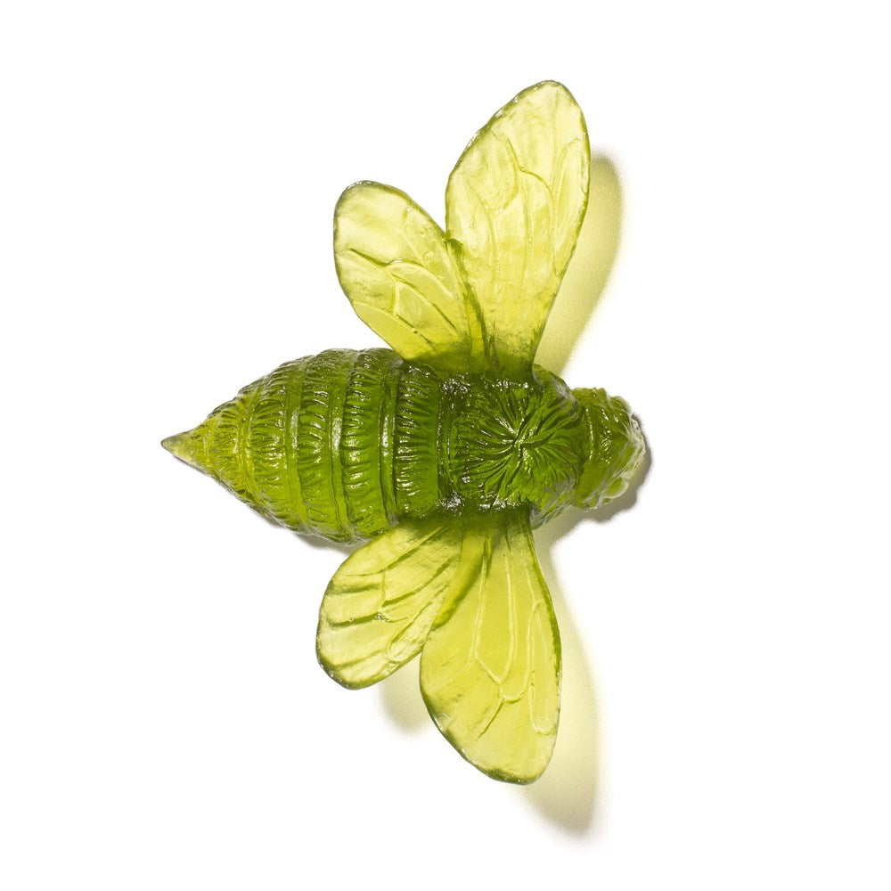 Bee - Wings Out