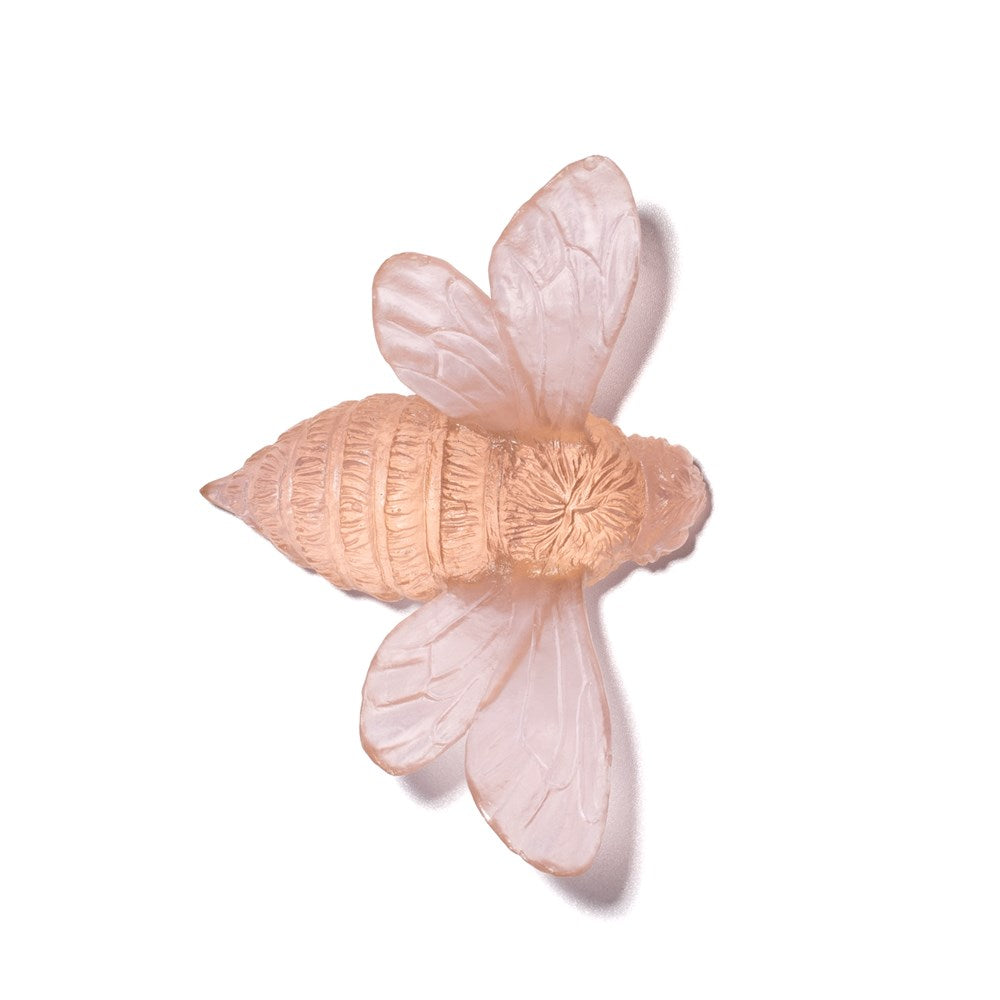 Bee - Wings Out
