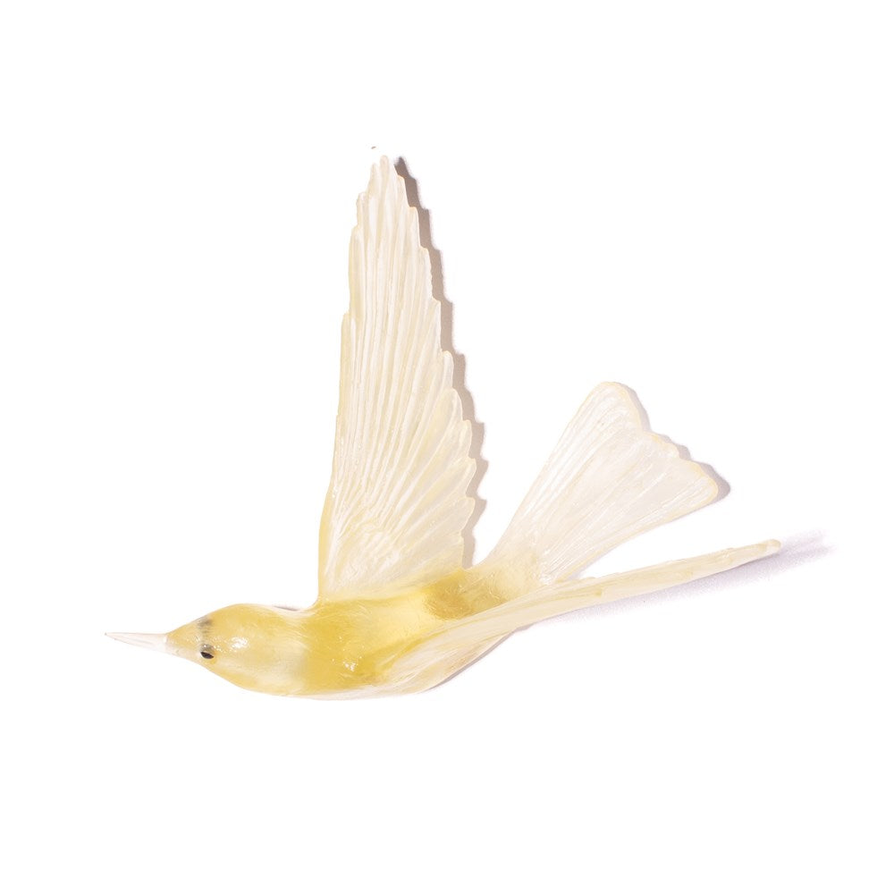Korimako/Bellbird - Wings Back