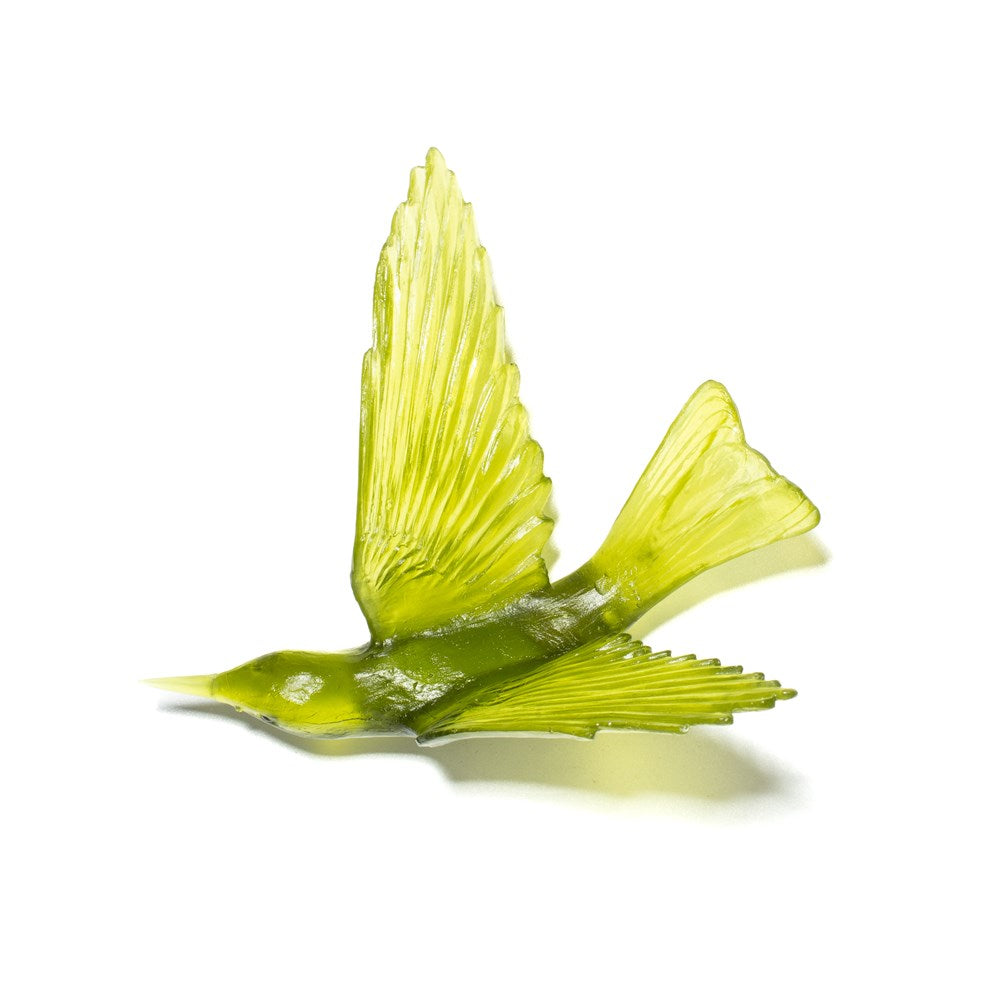 Korimako/Bellbird - Wings Back