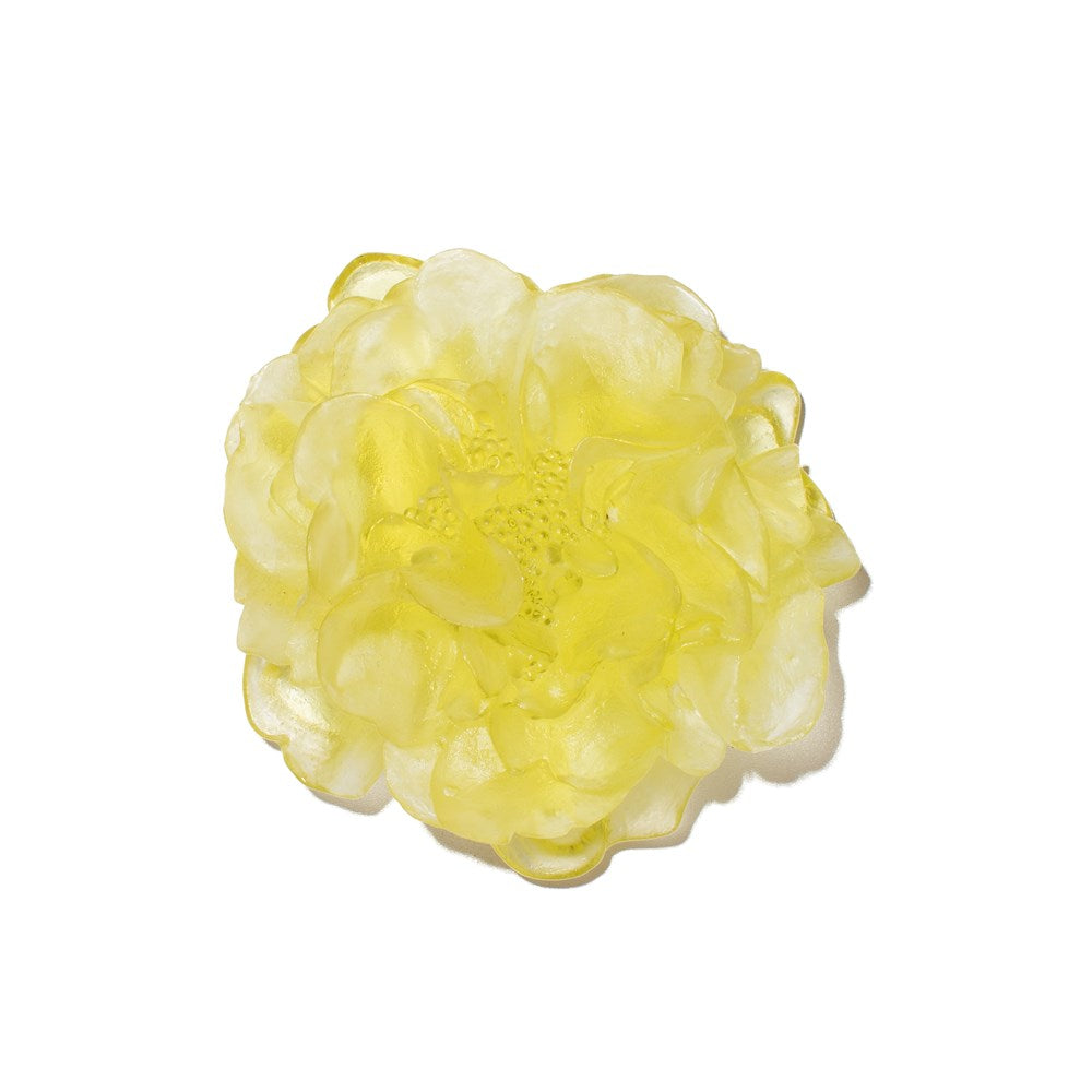 Camelia Flower