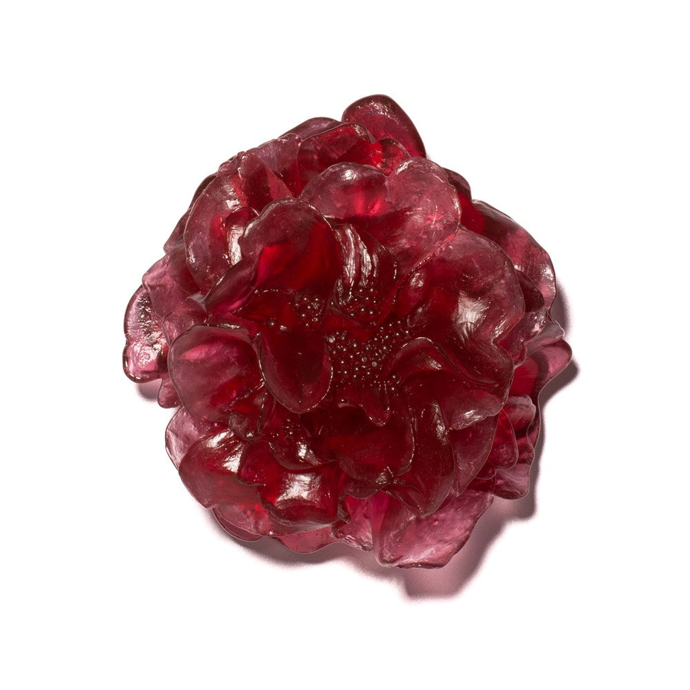 Camelia Flower