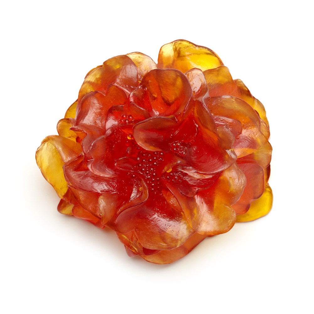 Camelia Flower