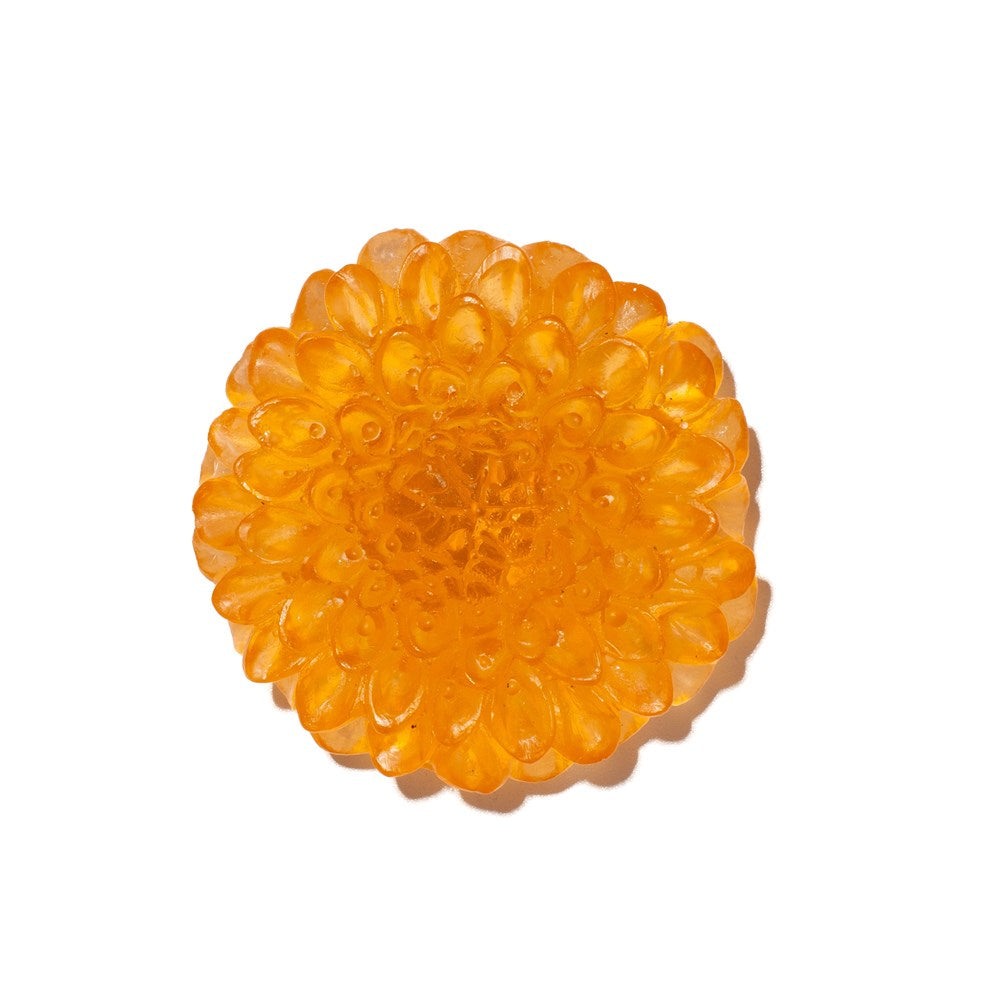 Dahlia Flower