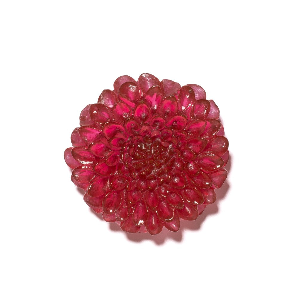 Dahlia Flower