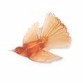 Piwakawaka/Fantail