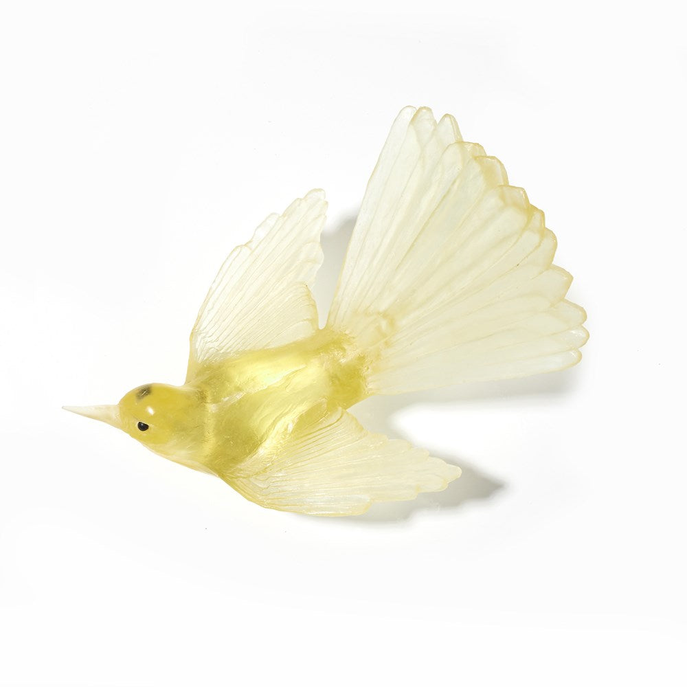 Piwakawaka/Fantail