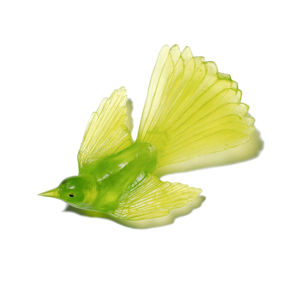 Piwakawaka/Fantail