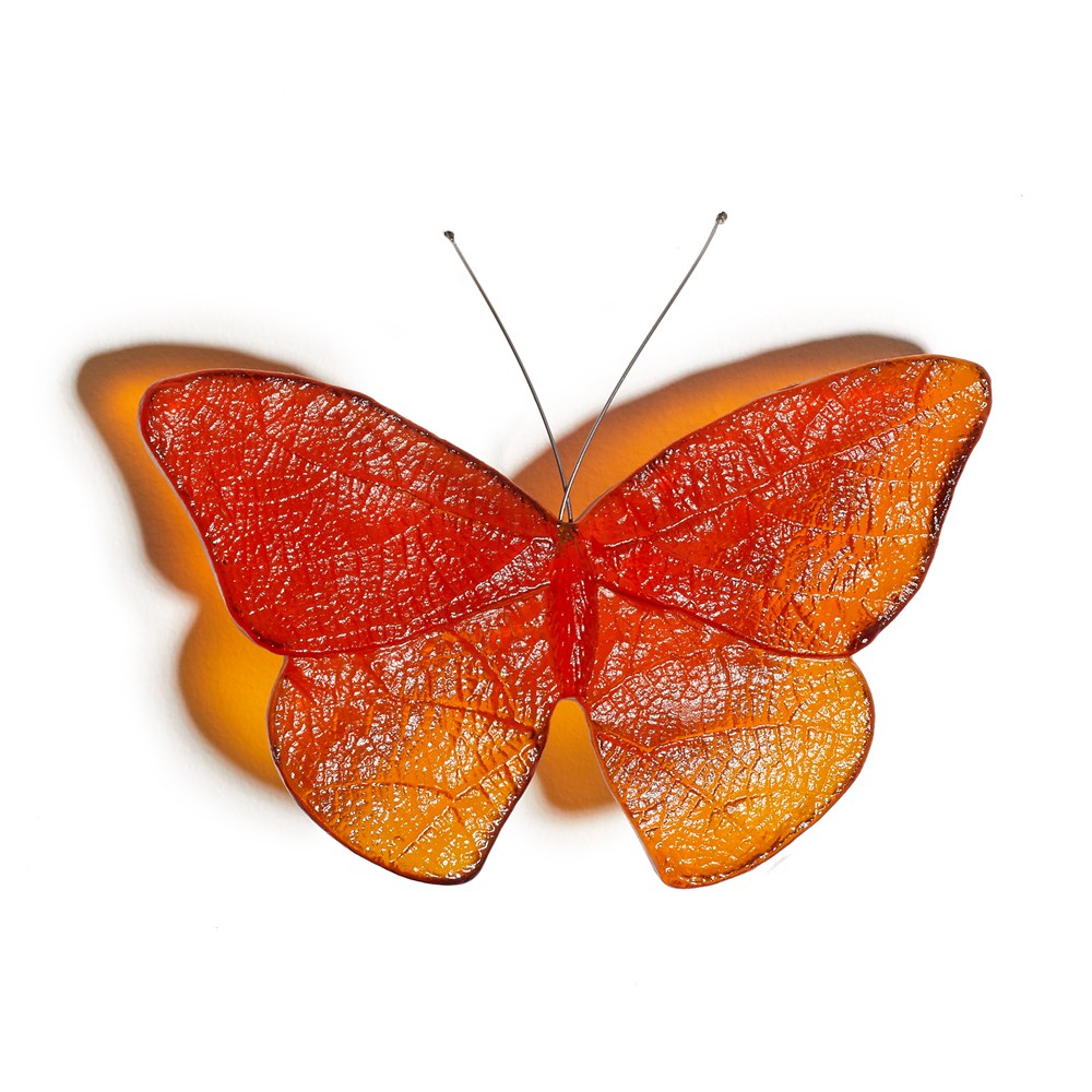 Kinetic Mount Butterfly - Admiral