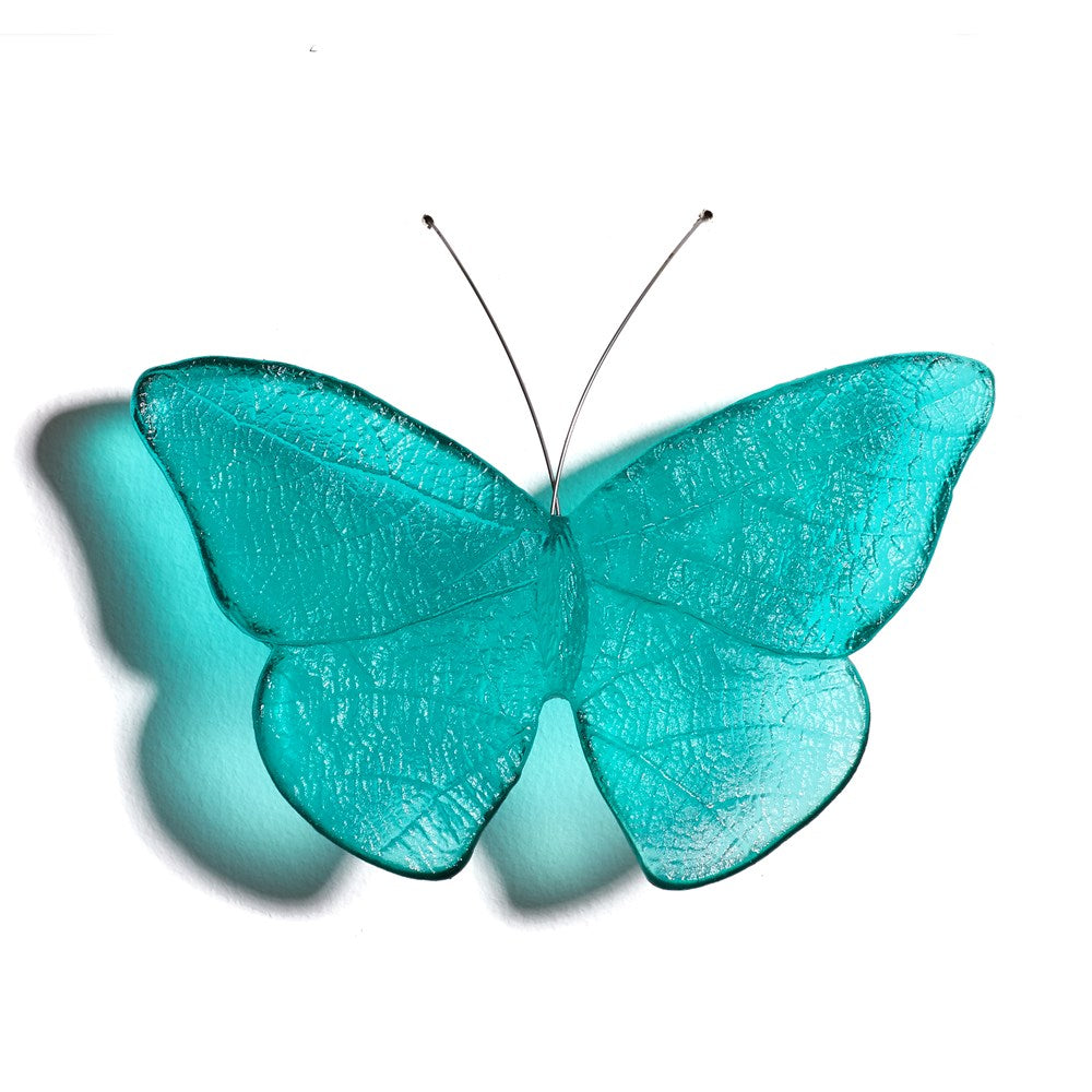 Kinetic Mount Butterfly - Admiral