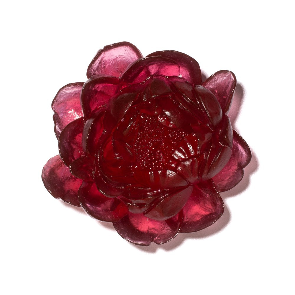 Peony Flower