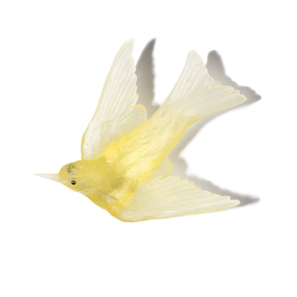 Warou/Swallow