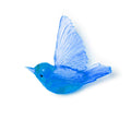 Miromiro/Tomtit